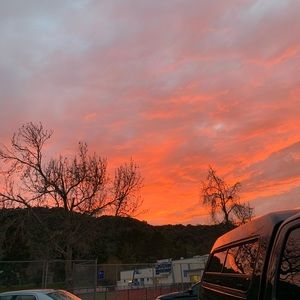 Meet your Posher, Leo